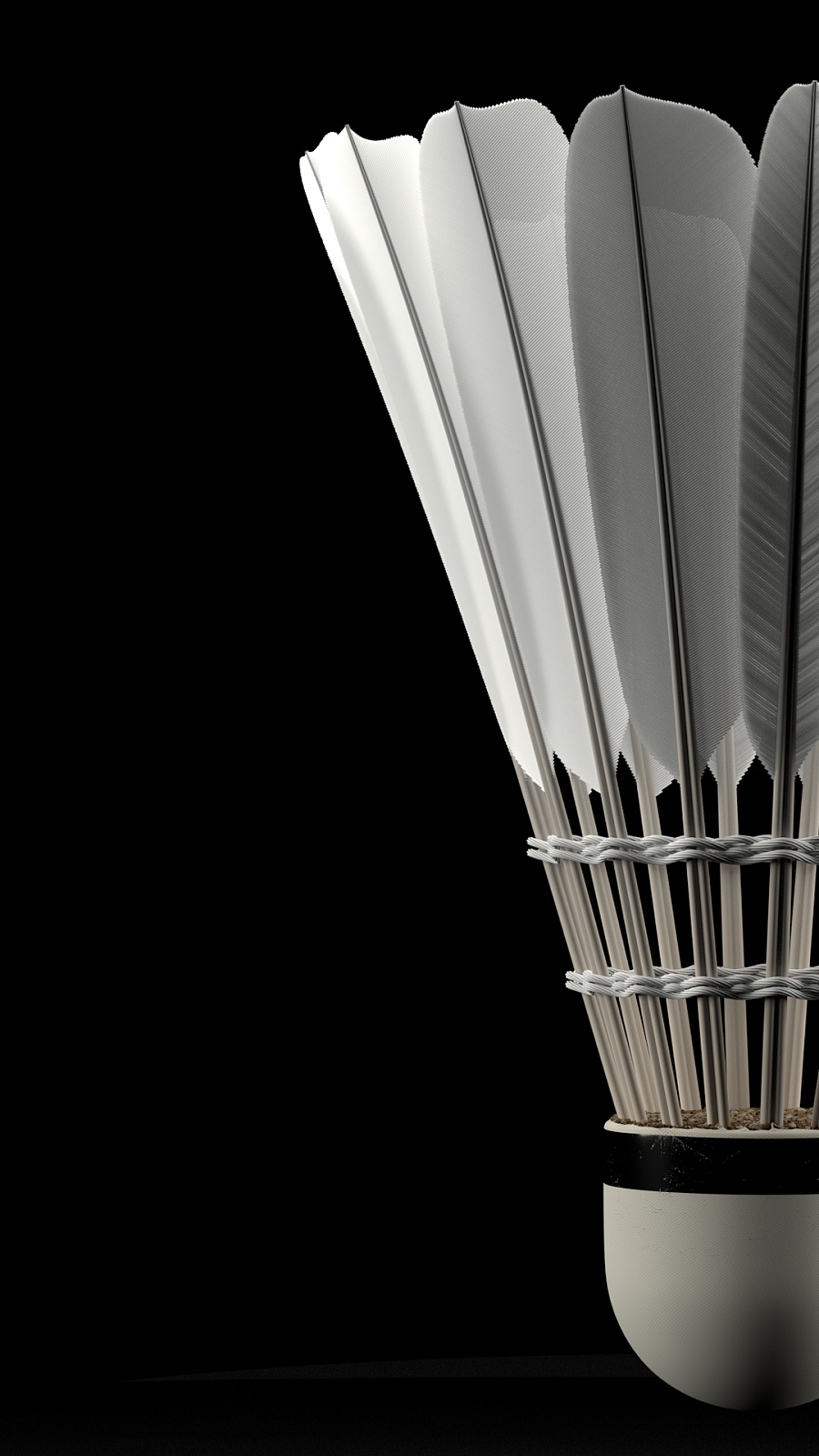 年轻天赋 年轻天赋