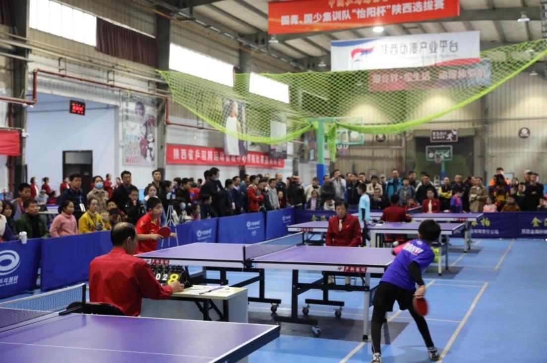 两队的对抗 两队的对抗